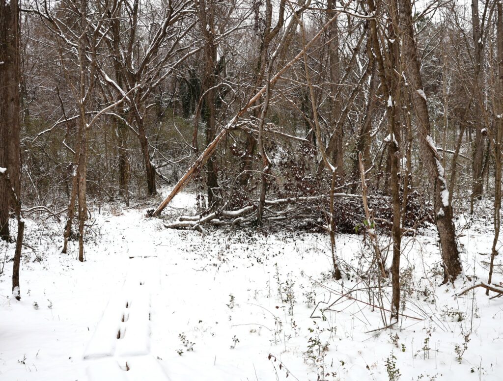 Snow on the Tusculum Nature Trail.