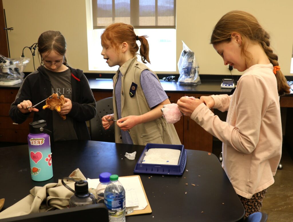 Three Girl Scouts work on a project centered on microplastics.