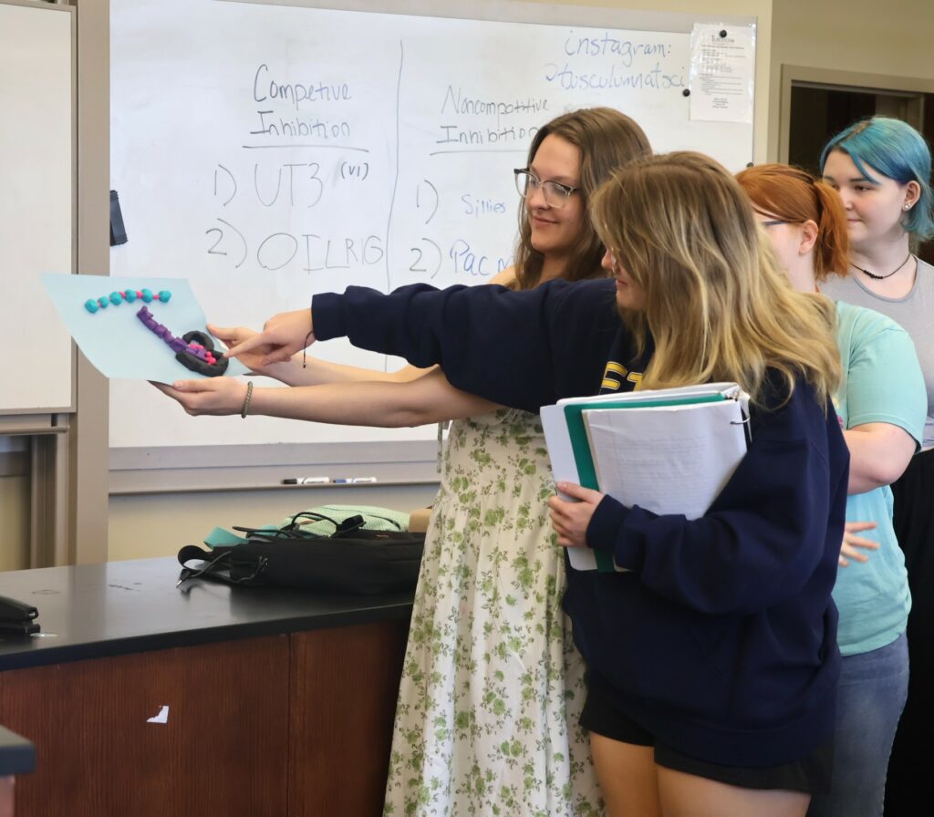 Students make a presentation in class.