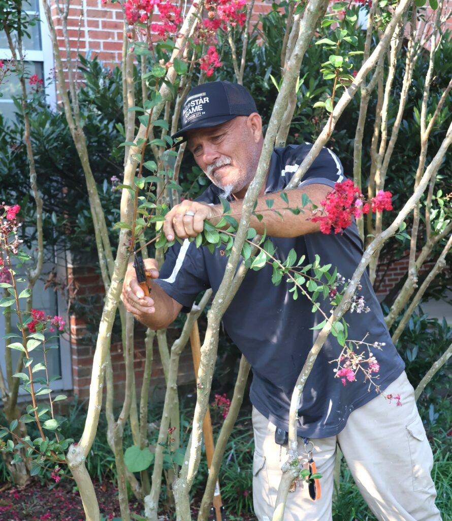 Donald Arwood, who works in the Facilities Management Department performs some trimming on campus.