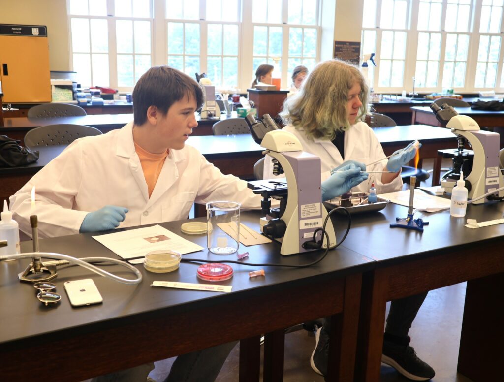 Students work on a project in their microbiology class.
