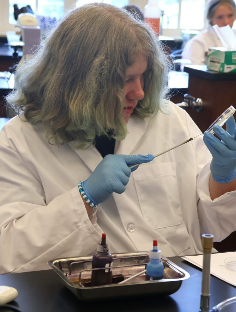 A student works on a project in his microbiology class.