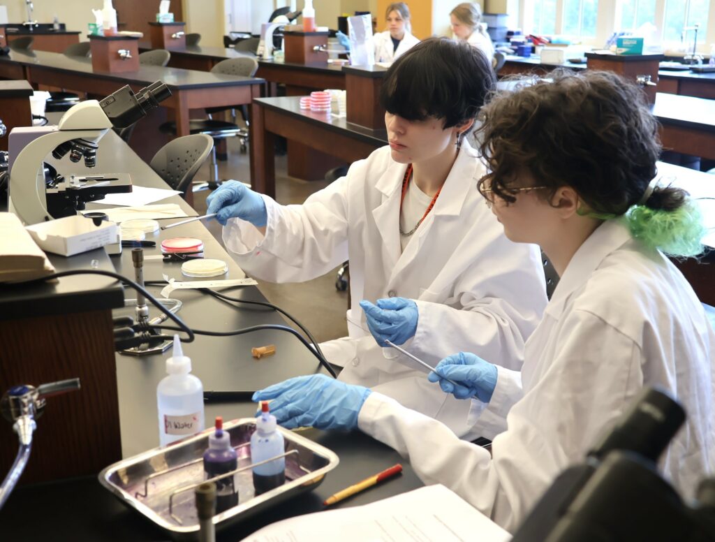 Two students work on a project in their microbiology class.
