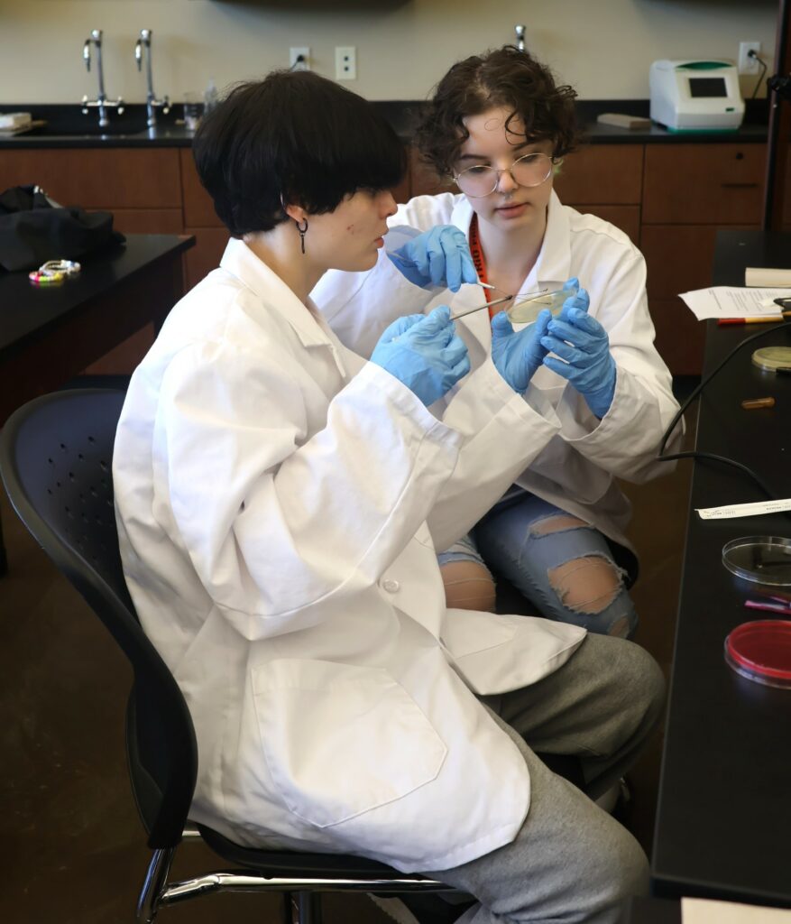 Two students work on a project in their microbiology class.