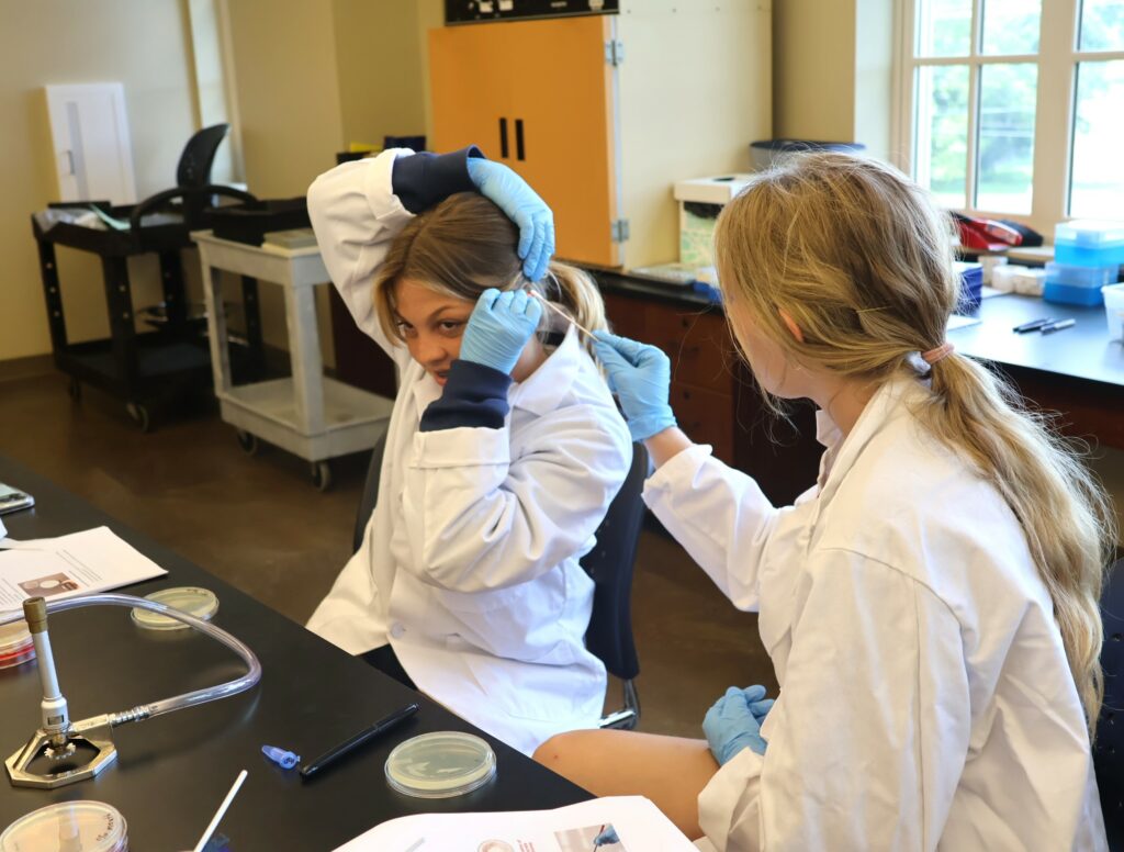 Two students work on a project in their microbiology class.