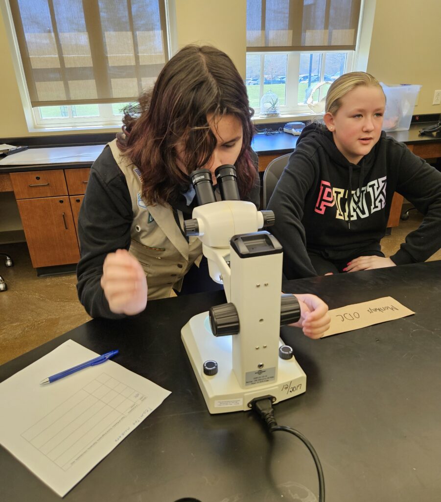 A Girl Scout looks at a filtered water sample under a microscope.