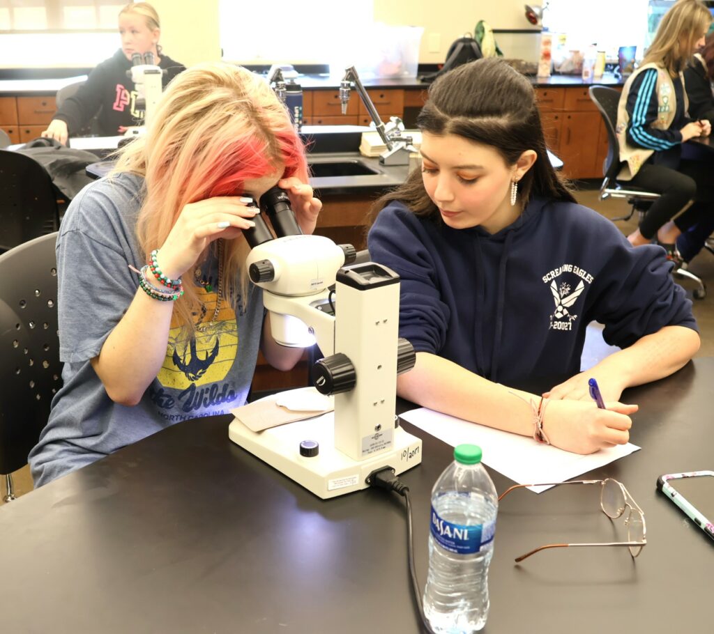 Two Girl Scouts work on a microplastics project at Tusculum University.
