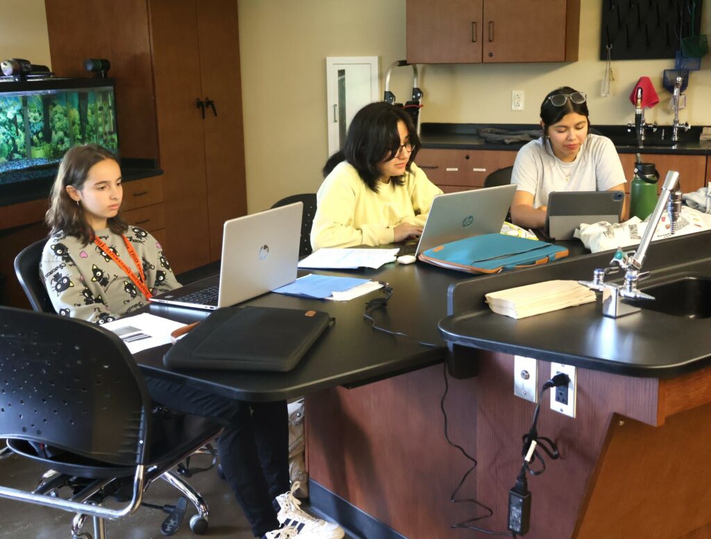 Students work on a project in their marine biology class.