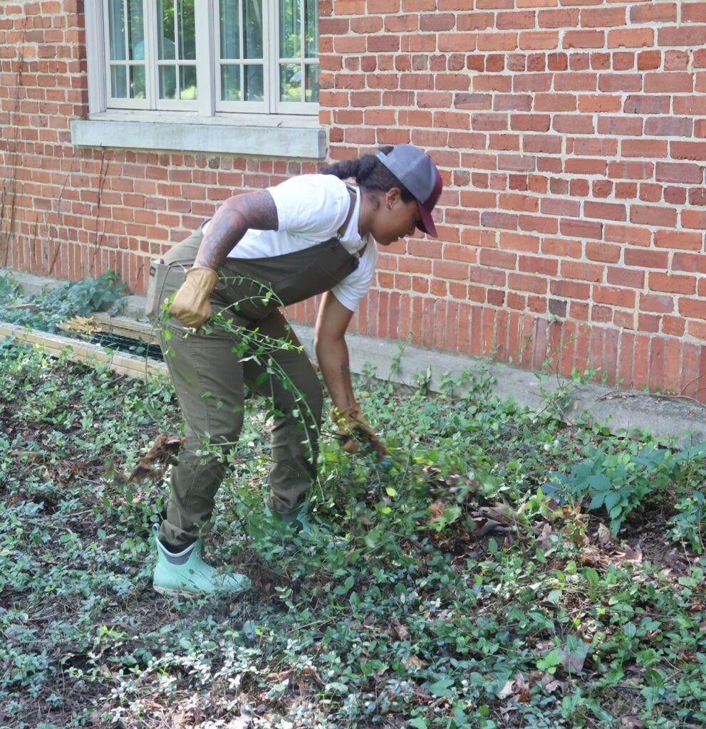 Zoe Pekins, the assistant women's lacrosse coach, performs some landscaping.