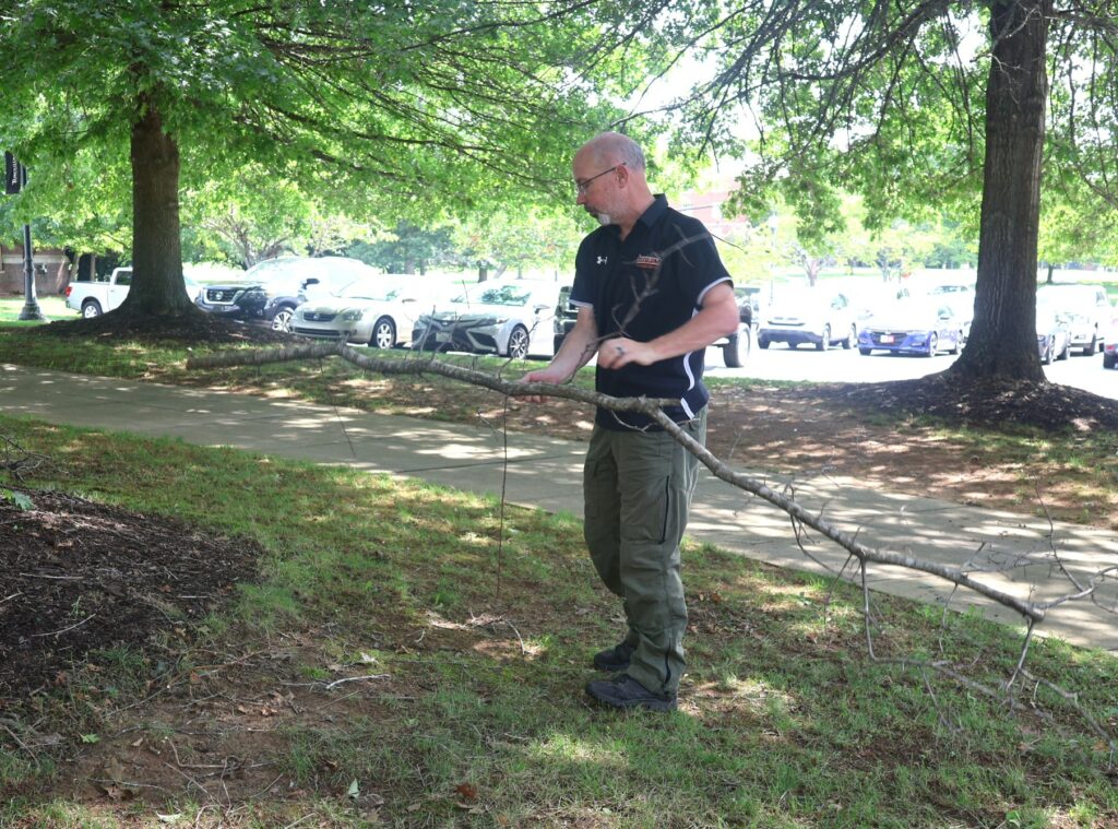 Shane Matthews clears a branch.