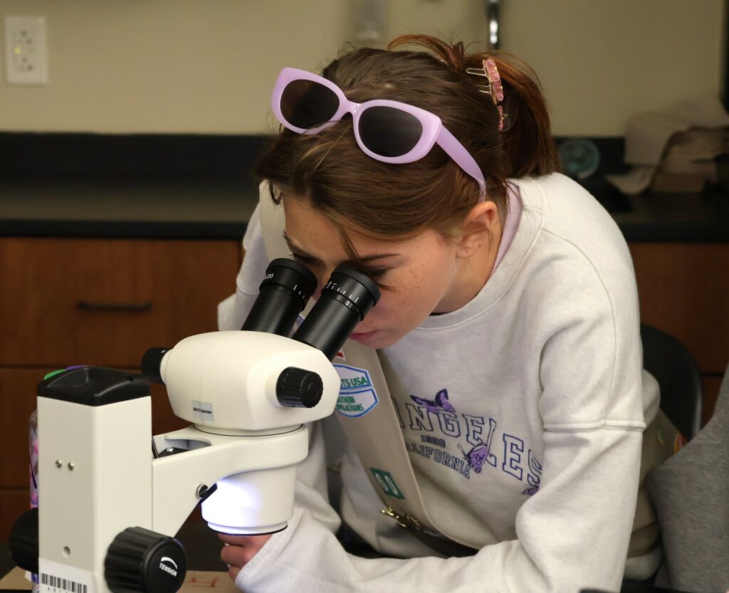 A Girl Scout examines a water sample.