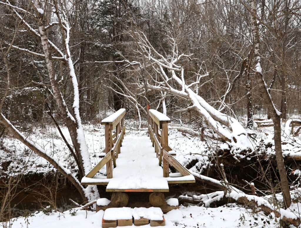 The Tusculum Trail collected some snow.