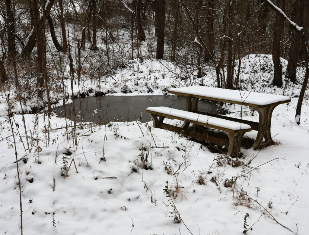 Snow collected and this small pond froze on the Tusculum Trail.