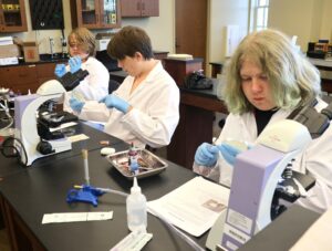Students work on an assignment in a laboratory in the Meen Center during the 2024 Summer Academy.