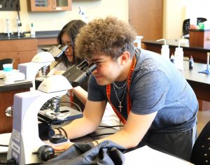 Students look through microscopes during the 2025 Summer Academy.