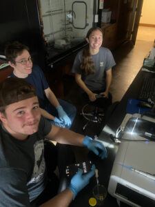 Left to right, Konrad Sehler, Andrew Medeck and Averie Price work on the anti-cancer drug research project.