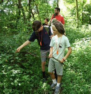 These boys pick berries during Pioneer Skills Camp in 2025.