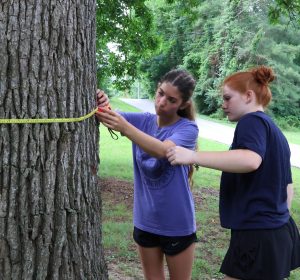 Two students measure a tree in Tusculum’s arboretum.